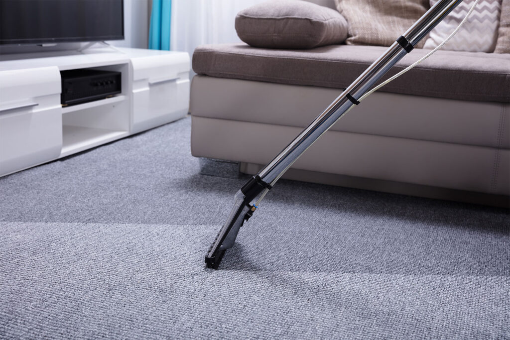 The Advantages of Professional Carpet Cleaning
