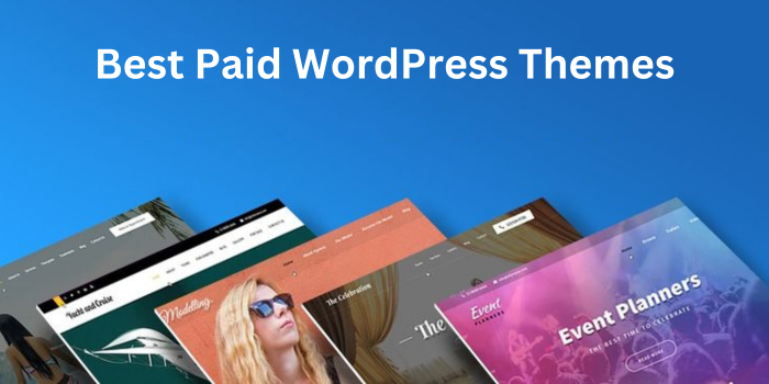 Best Paid WordPress Themes: Elevate Your Website