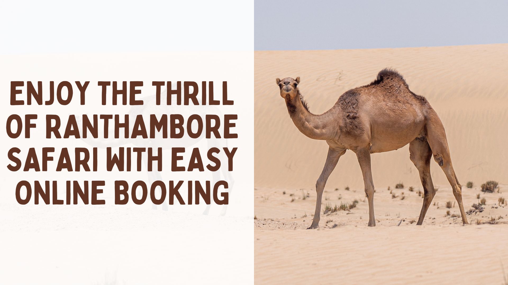 Enjoy the Thrill of Ranthambore Safari with Easy Online Booking