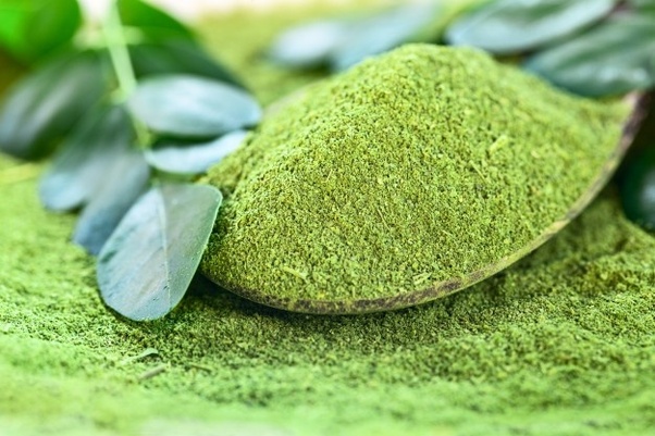 Unlocking the Potential of Moringa Powder: Wholesale Opportunities with Terry Exports