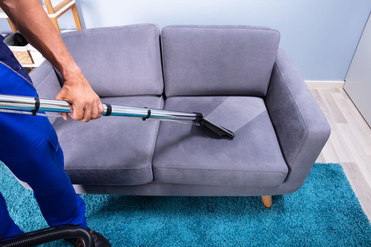 Revive Your Living Room: The Best Fabric Sofa Cleaner