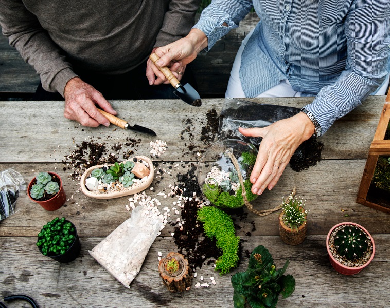 Discover the Art: Terrarium Workshop in Singapore