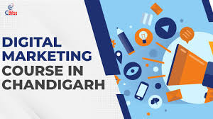 Digital Marketing Training in Chandigarh